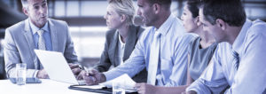 MIS 2000 Professional Services